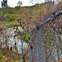 Former Plant Drain Pipe